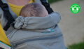 Manduca XT detský nosič - zrolovaná kapucňa dáva podporu krčku malého dieťaťa.