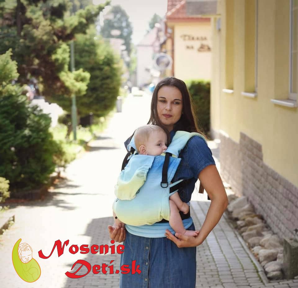 Ergonomický nosič na nosenie detí Rischino Flexible Sky