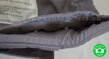 Tula FTG Stormy detský nosič - nastavovanie šírky chrbtovej opierky pomocou patentiek