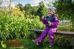 Detská softshellová bunda Ostružinová so šedou