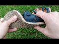 Froddo chlapčenské detské barefoot sandále Flexy Mini Dark Blue